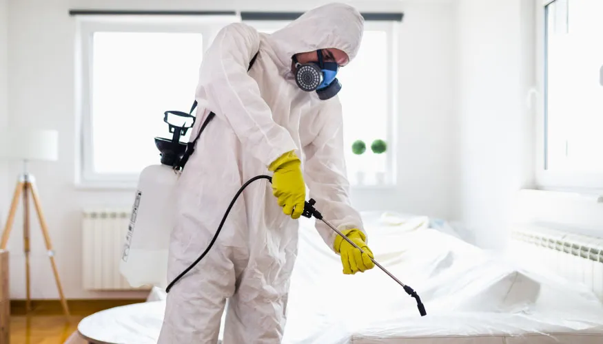 شركة مكافحة النمل الأبيض بأحد رفيدة